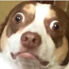 Сергей Игоревич, 08.05, Санкт-Петербург