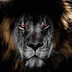 Дилияр Абдуллаев, 24.04, Алматы