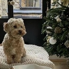 Дарина Кострова, 29.06