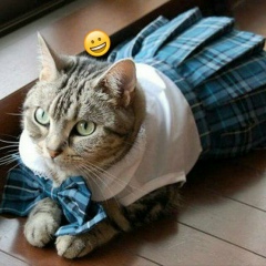 Емілія Литвин, 09.11, Нововолынск