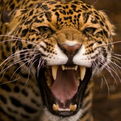 Sevgi Yılmaz, 02.05.1993