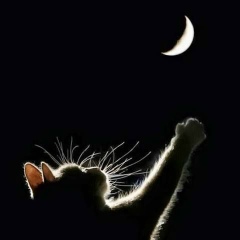 Ольга Готовчик, 28.06, Санкт-Петербург