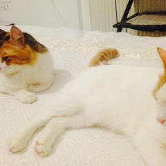 Катя Игнатенко, 22.06.1988, Донецк