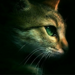 Диана Арчакова, 21.06