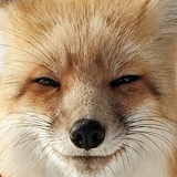 Victor Lisboa, 01.09.1985, Porto Alegre