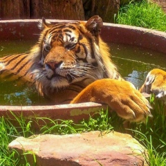 Виталик Зуев, 06.11.1987