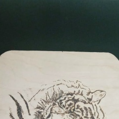 Албаеп Албаев, 20.04.2000, Chicago