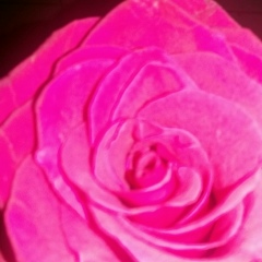 Аня Николаева, 01.04, Санкт-Петербург