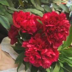 Ирина Михайлова, 15.10.1986, Тверь