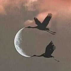 Алёна Донскова, 11.04.1979, Челябинск