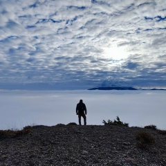 Дмитрий Циолковский, Краснодар