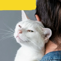 Вика Крутенко, 04.03, Киев