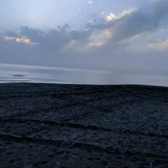 Александр Иванов, Málaga