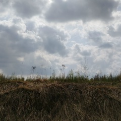 Антон Каштанов, 07.11, Москва