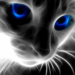 Юрий Афанасьев, Одесса