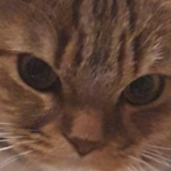 Евгения Дудышева, 02.04, Ярославль