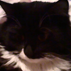 Александр Тихонов, Минск