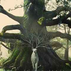 Gulmira Bk, Уральск