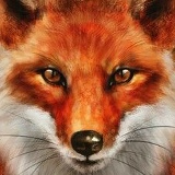 Дмитрий Чащин, 02.05.1989, Калининград