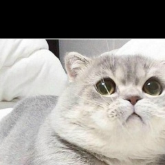 Лаура Исмаилова, 05.03, Грозный