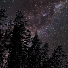 Олеся Галочкина, 18.01.1988, Кингисепп