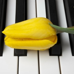 Гульназ Калдыбеккызы, 07.02.1988