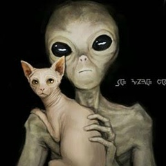 Андрей Помидорров, 01.06.1979, Краснодар