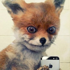 Сергей Буба, 15.08.1984, Харьков