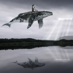 Hayk Komurjyan, Los Angeles