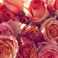 Дина Канатбаева, Астана