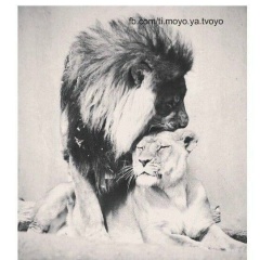 Iron Find, 08.05, Шымкент