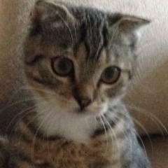 Кристина Беловоленко, 24.01.1985, Харьков