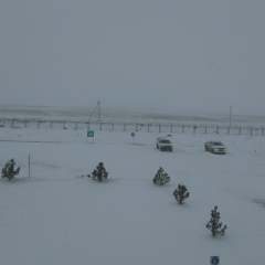 Зафар Нури, 24.07.1983, Алматы