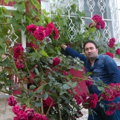 Ergün Kocabay, 08.01, Kuşadası