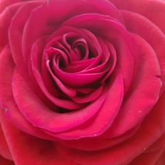 Irina Demina, 26.04.1964, Москва