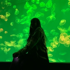 Виктория Быкова, 13.03.2001