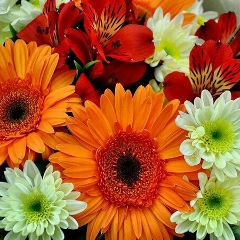 Мария Берлова, 09.08, Актобе