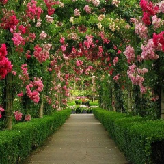 Татьяна Иванова, 11.02.1977, Павловский Посад