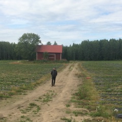 Михаил Багесов, 07.07, Санкт-Петербург