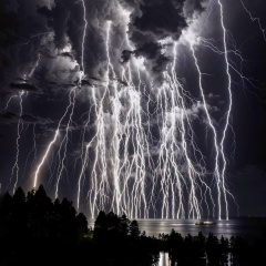 Родион , Санкт-Петербург