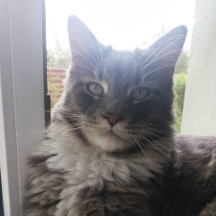 Анастасия Тимьянова, 24.04, Алматы