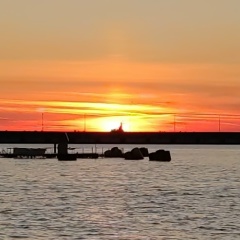 Елена Шевцова, Краснодар