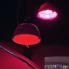 Airat Khafizov, 15.05