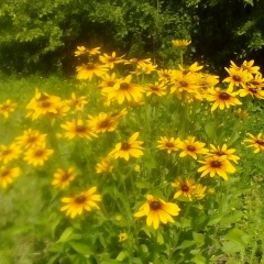 Татьяна Харламова, 18.06, Красногорск