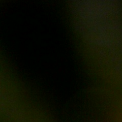 Карина Шевченко, Усинск