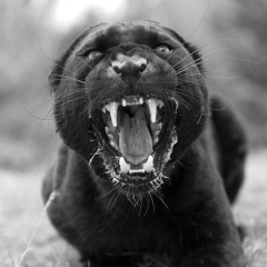 Сергей Пискунов, 22.06, Киев