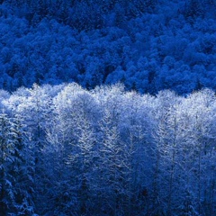 Roman Darmanenko, 28.12.1988, Новосибирск