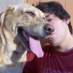 Хосе Ечебария, 18.11, Полтава