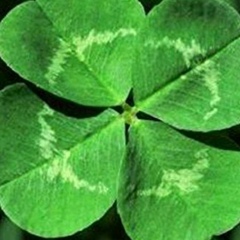 Олеся Долидович, 29.10, Красноярск