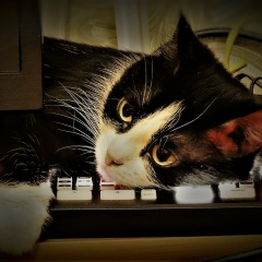 Christina Leurda, Астана